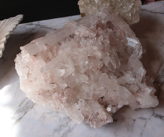 Pink Lemurian 07