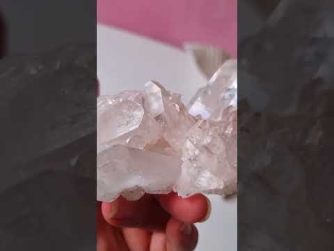 Pink Lemurian 05