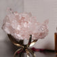 Pink Lemurian 01