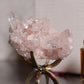 Pink Lemurian 01