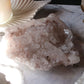 Pink Lemurian 07