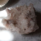 Pink Lemurian 07