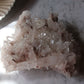 Pink Lemurian 07