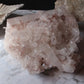 Pink Lemurian 07