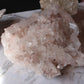 Pink Lemurian 07