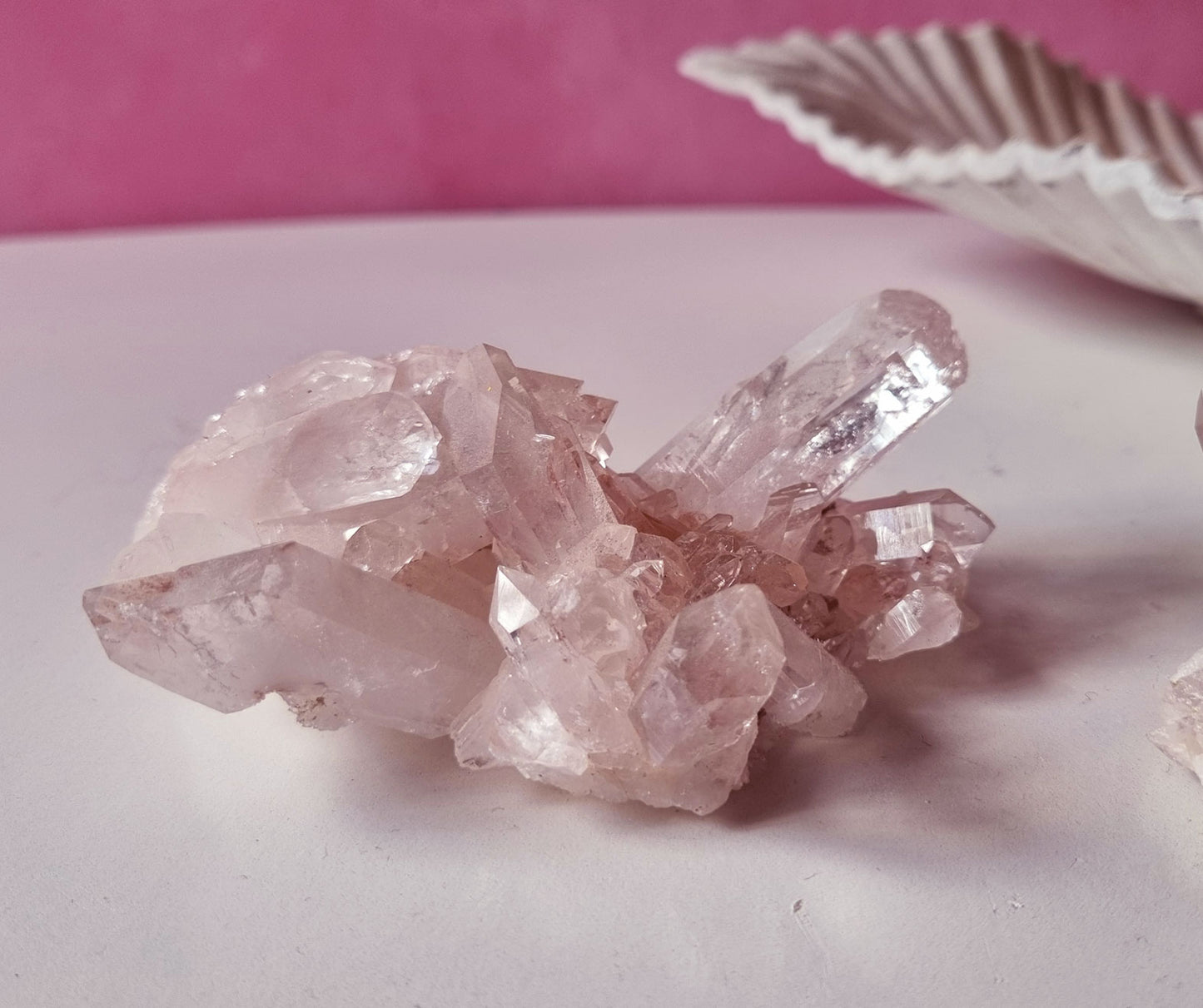 Pink Lemurian 05