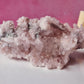 Pink Lemurian 03