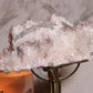 Pink Lemurian 03