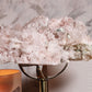 Pink Lemurian 03
