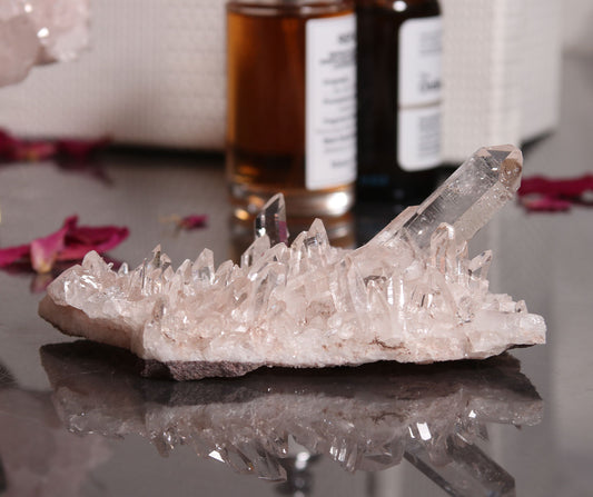 Pink Lemurian 06