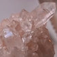 Pink Lemurian 01
