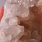 Pink Lemurian 02