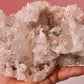 Pink Lemurian 03