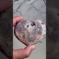 Agate Moon and Pink Amethyst Heart 05