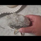 Apophyllite AP08