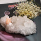 Apophyllite AP04