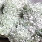 Green Apophyllite